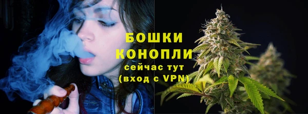 амф Богородск