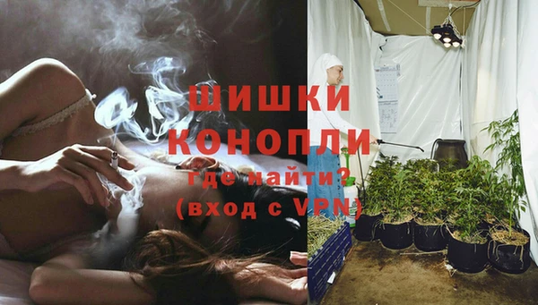 PSILOCYBIN Богородицк