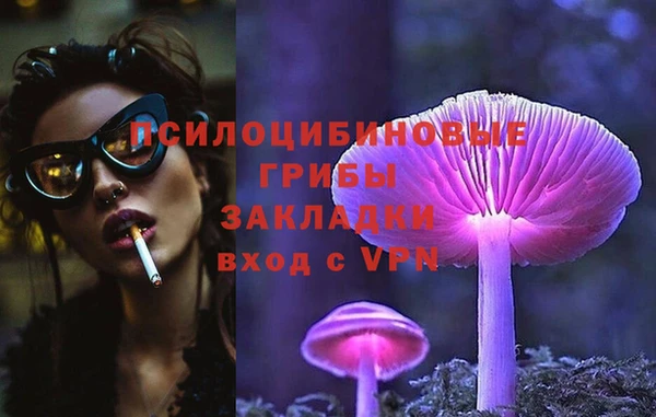 амф Богородск