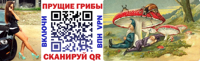 где найти   Воркута  Галлюциногенные грибы мицелий 