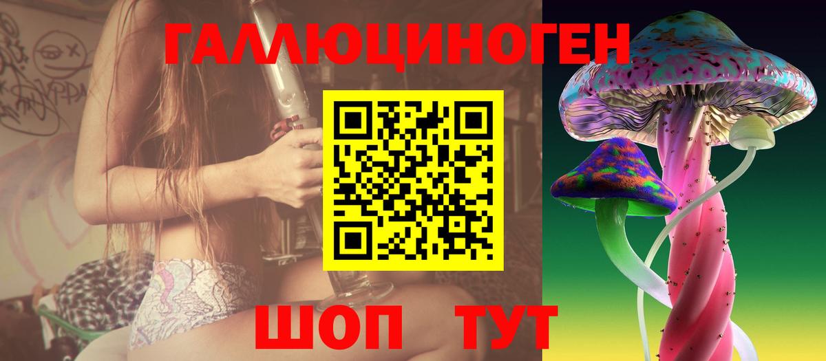 Псилоцибиновые грибы Psilocybine cubensis Воркута