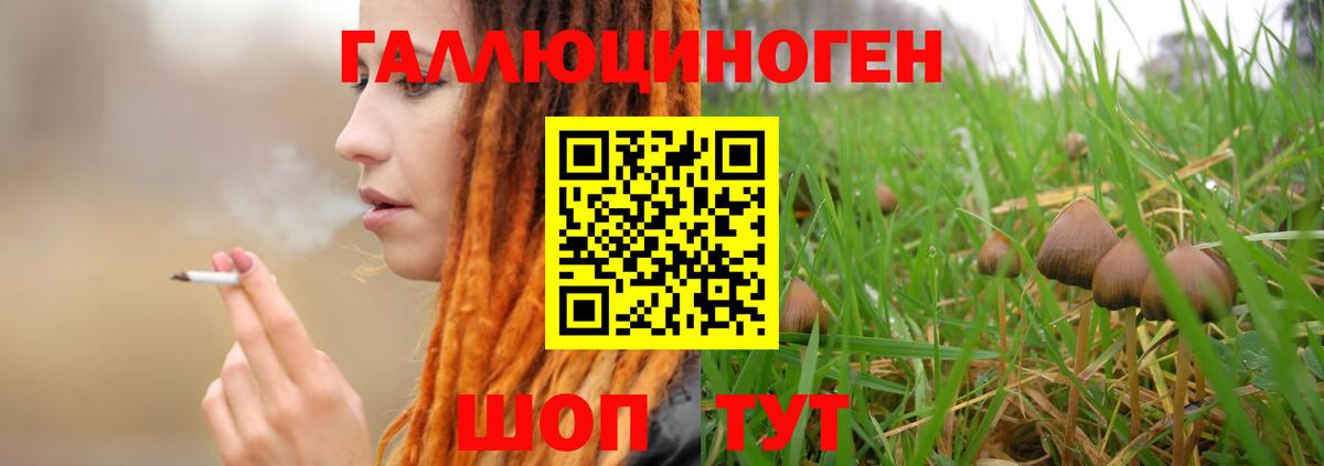 купить наркоту  Вход с VPN  Воркута  Галлюциногенные грибы Psilocybine cubensis 