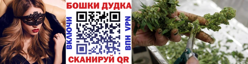 Конопля индика  Воркута 