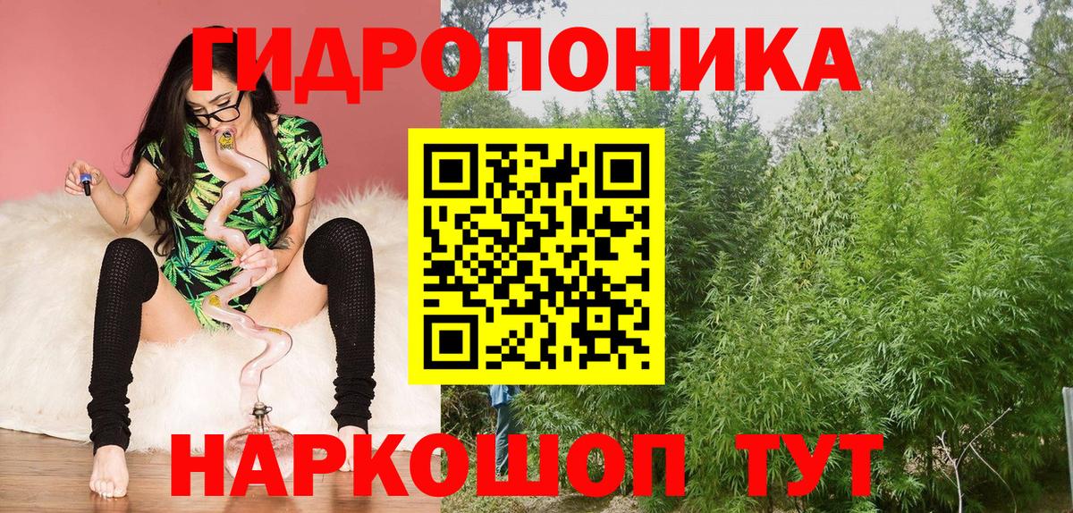 Канабис White Widow Воркута